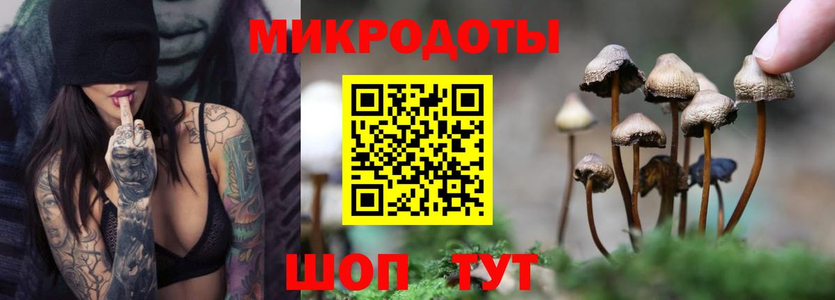 Галлюциногенные грибы мухоморы  Вход с VPN  Лабытнанги 